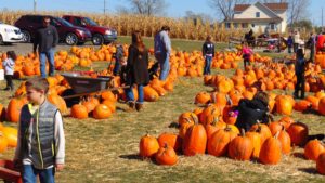 Pumpkin patch - Safe Halloween events