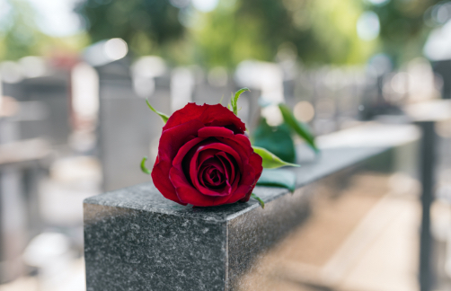 Red rose on dark marble headstone