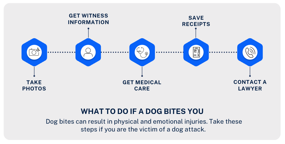graphic of steps to follow if a dog bites you