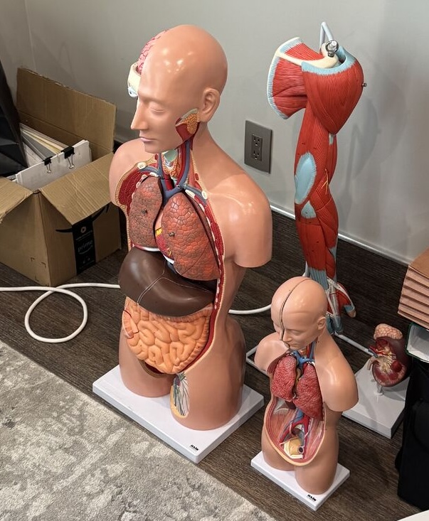 injury depiction in personal injury case